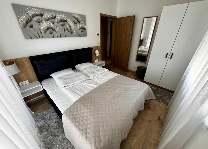 公寓 Vh9 布达佩斯